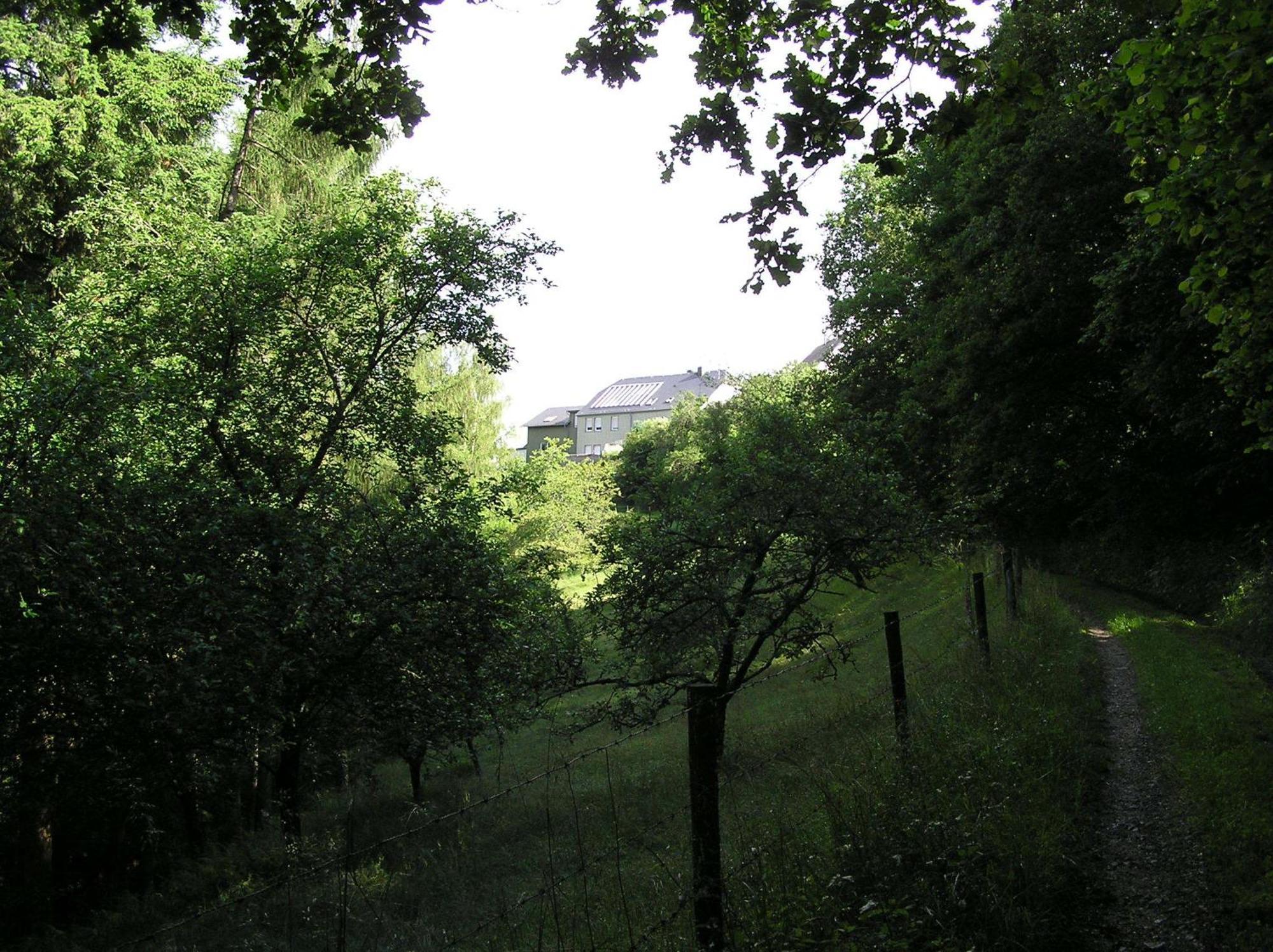 Ferienwohnung Nisius Geisfeld  エクステリア 写真